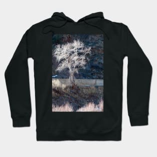 Valley Tree Hoodie